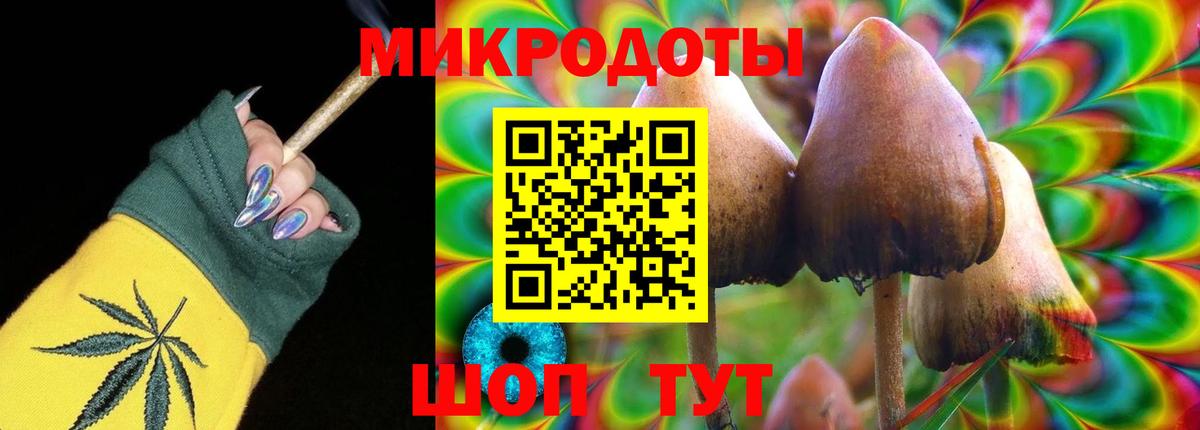 Псилоцибиновые грибы Psilocybine cubensis Мценск