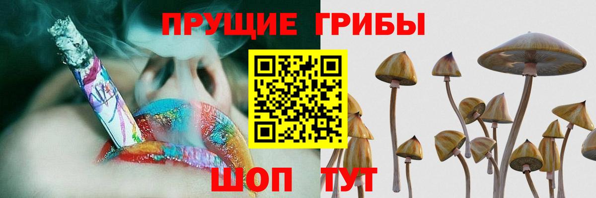 Галлюциногенные грибы MAGIC MUSHROOMS  Вход с VPN  Мценск 
